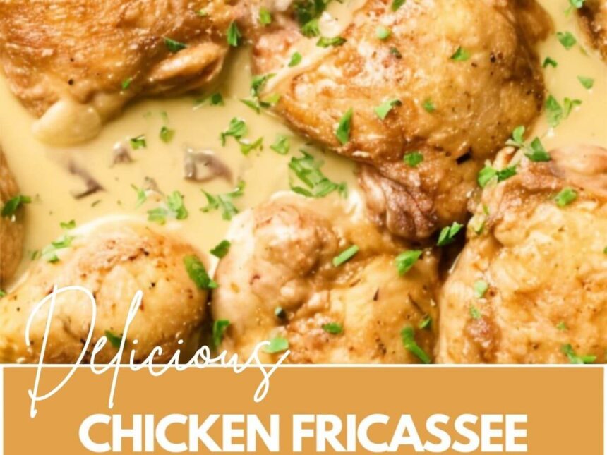 What is Chicken Fricassee
