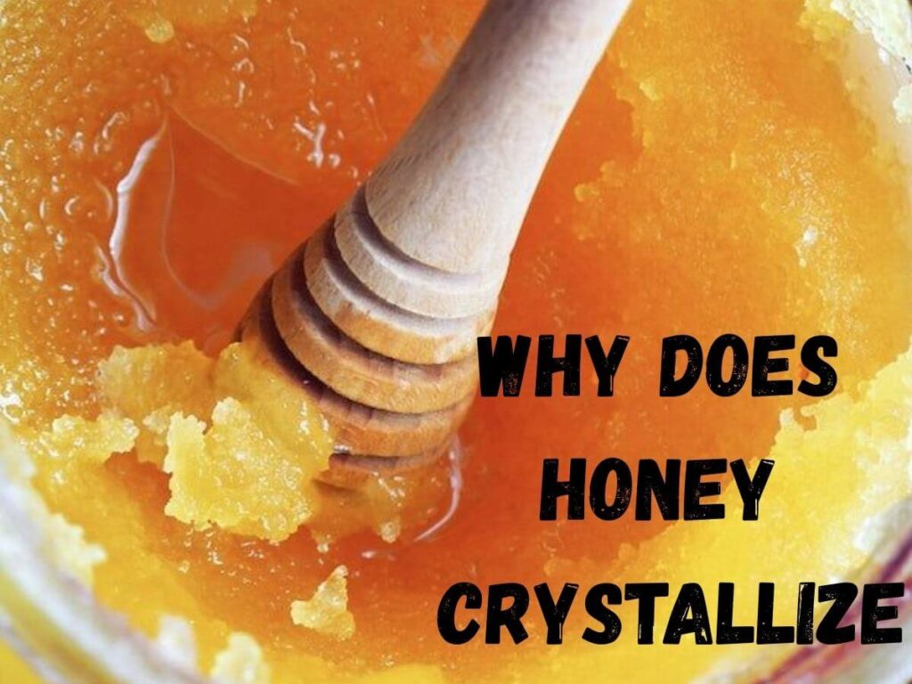 Why Does Honey Crystallize