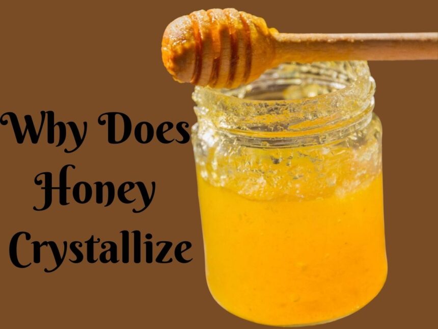 Why Does Honey Crystallize