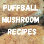 puff ball mushroom recipes
