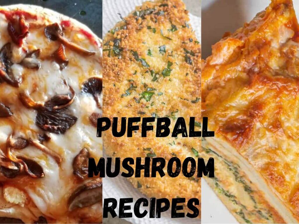 puffball mushroom recipes