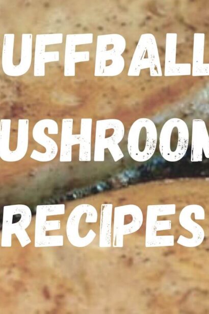 puff ball mushroom recipes